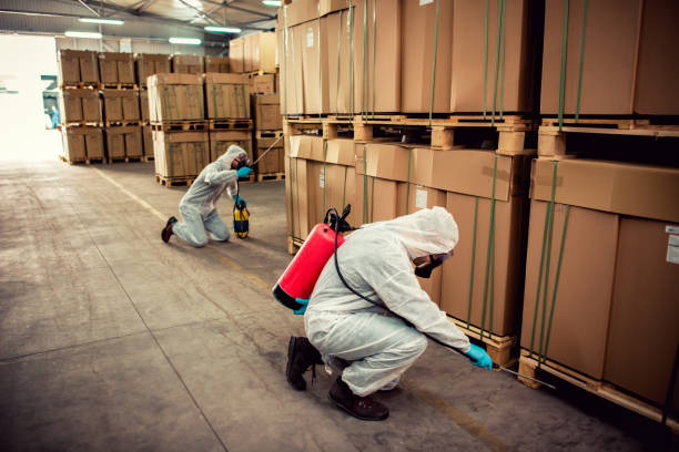 Best Best Pest Control Near Me  in Mcallen, TX