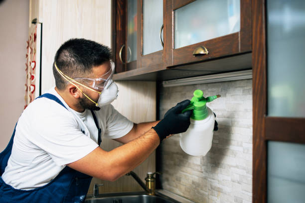 Pest Control for Restaurants in Mcallen, TX
