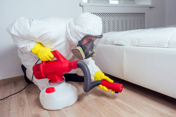 Best Wasp Removal Services  in Mcallen, TX