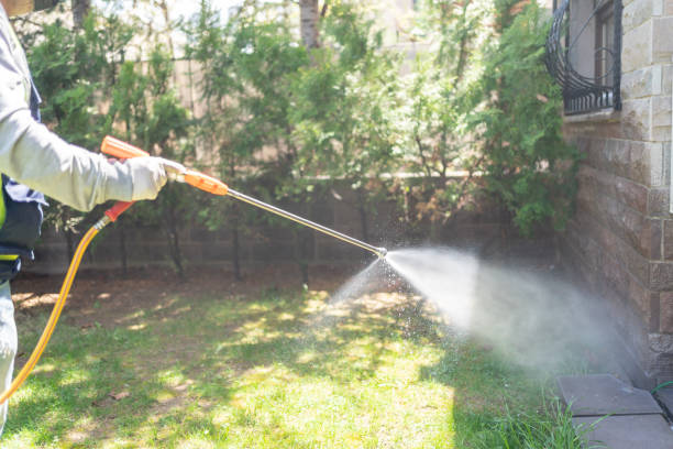 Best Flea Control Services  in Mcallen, TX