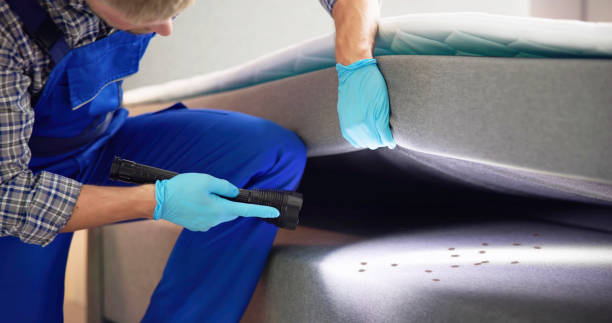 Best Pest Prevention Services  in Mcallen, TX