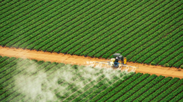 Best Pest Control for Businesses  in Mcallen, TX