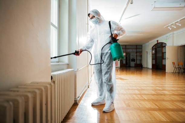 Best Emergency Pest Control  in Mcallen, TX