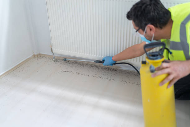 Best Pest Control Near Me in Mcallen, TX